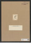 Triceratium truncatum Brightw. (de-Toni-Nr.: Genus 140, Species 4048) Zeichnungen Sammlung Grunow Nr. 7495 (NHMW-BOT-W0376616)